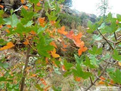 Valle de los Milagros-Cueva de la Hoz; viajes fines de semana rutas por sierra de madrid rutas sierr